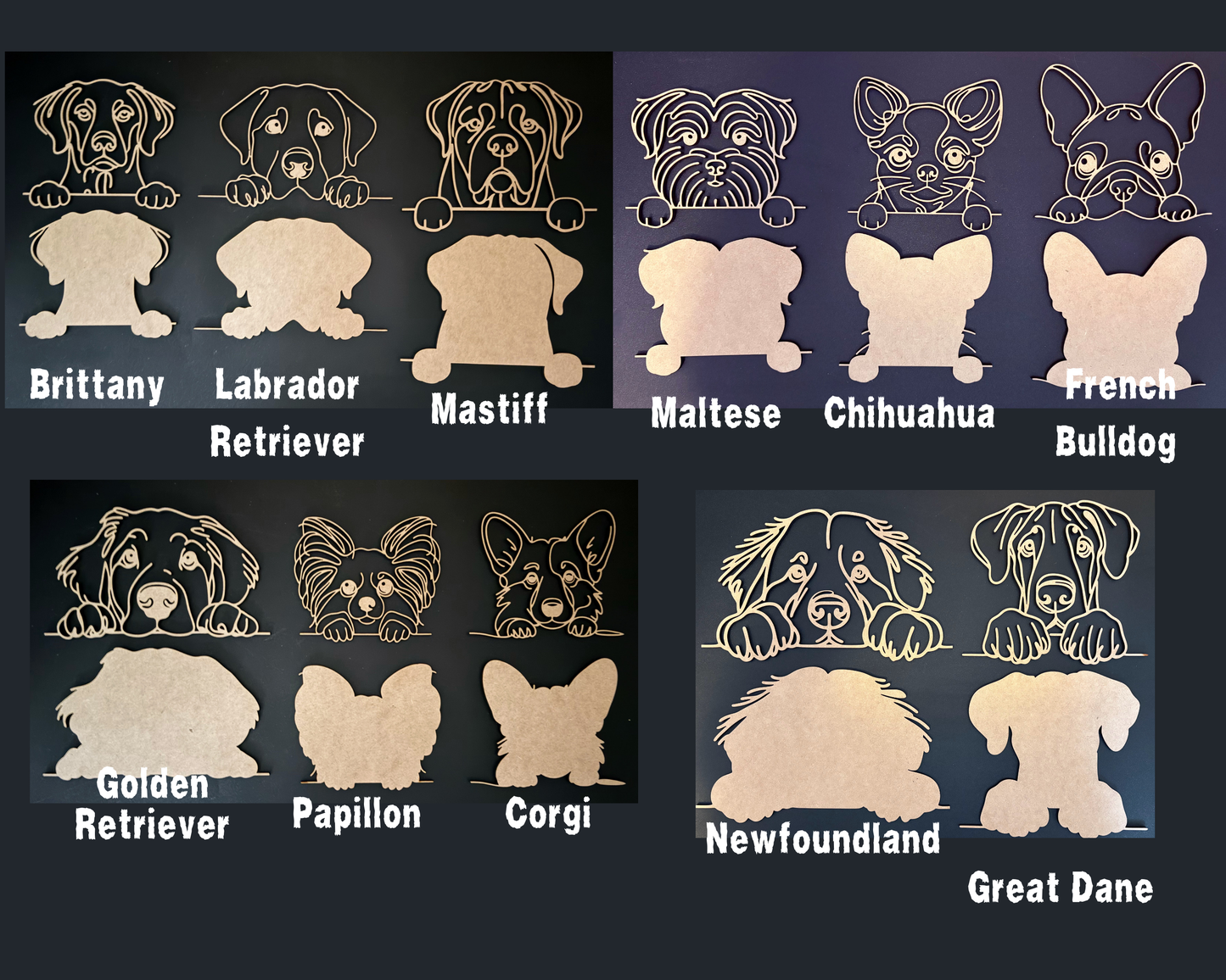 Collection of dog breed illustrations with names on a dark background
