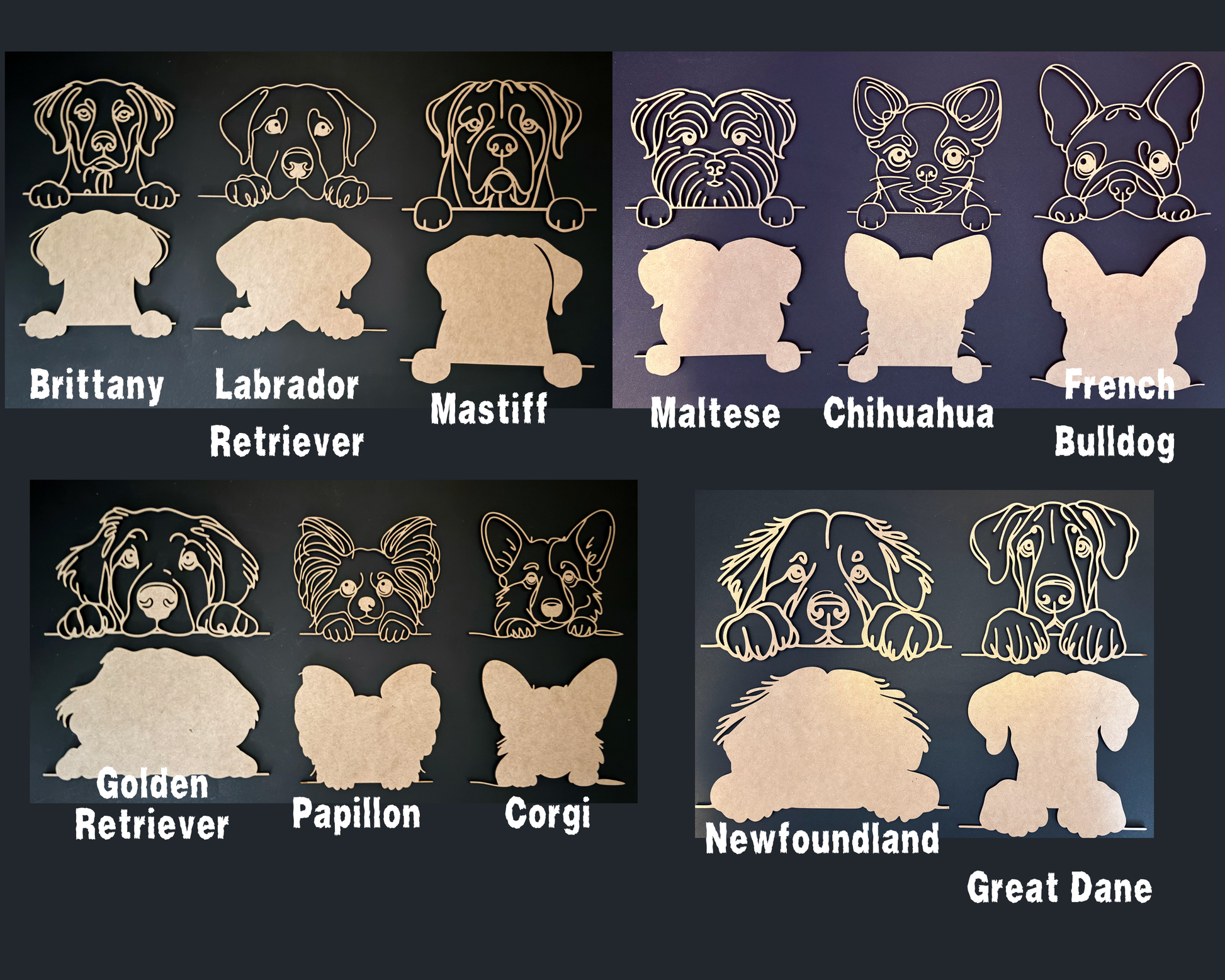 Collection of dog breed illustrations with names on a dark background